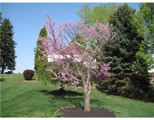 148 Beale Road Sarver, PA 16055 - Photo 17 of 18 Land/Lot.