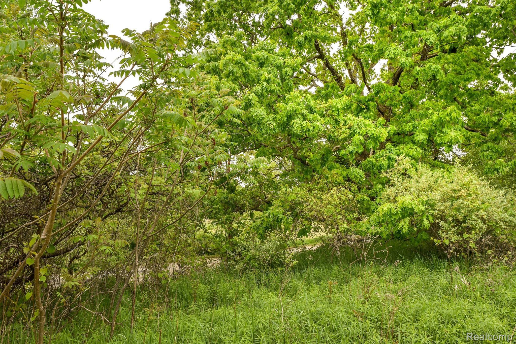 0 Thomas Road Metamora, MI 48455 - Photo 28 of 30 Thomas Road by WCB (28).jpg