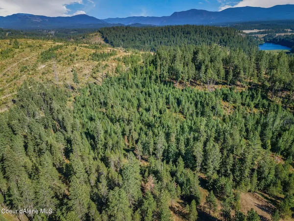 $219,000 | L1 Smokewood Drive, Athol, ID 83801