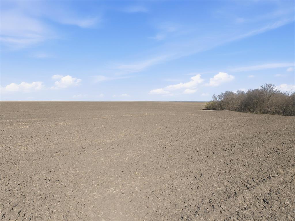 1 Fm 2114 Road Penelope, TX 76676 - Photo 7 of 12