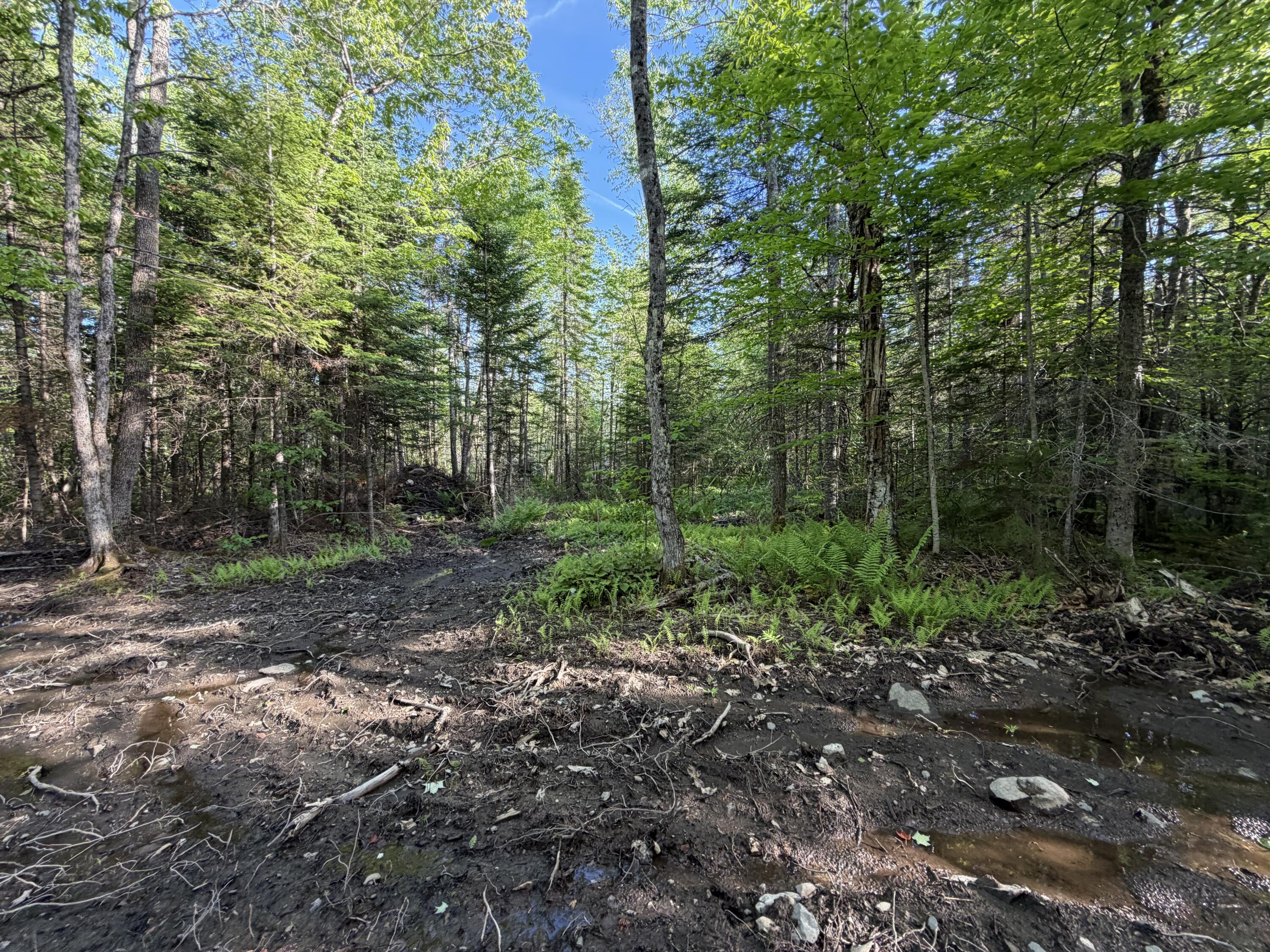 Lot 12-001 Off North Guilford Road Monson, ME 04464 - Photo 30 of 48