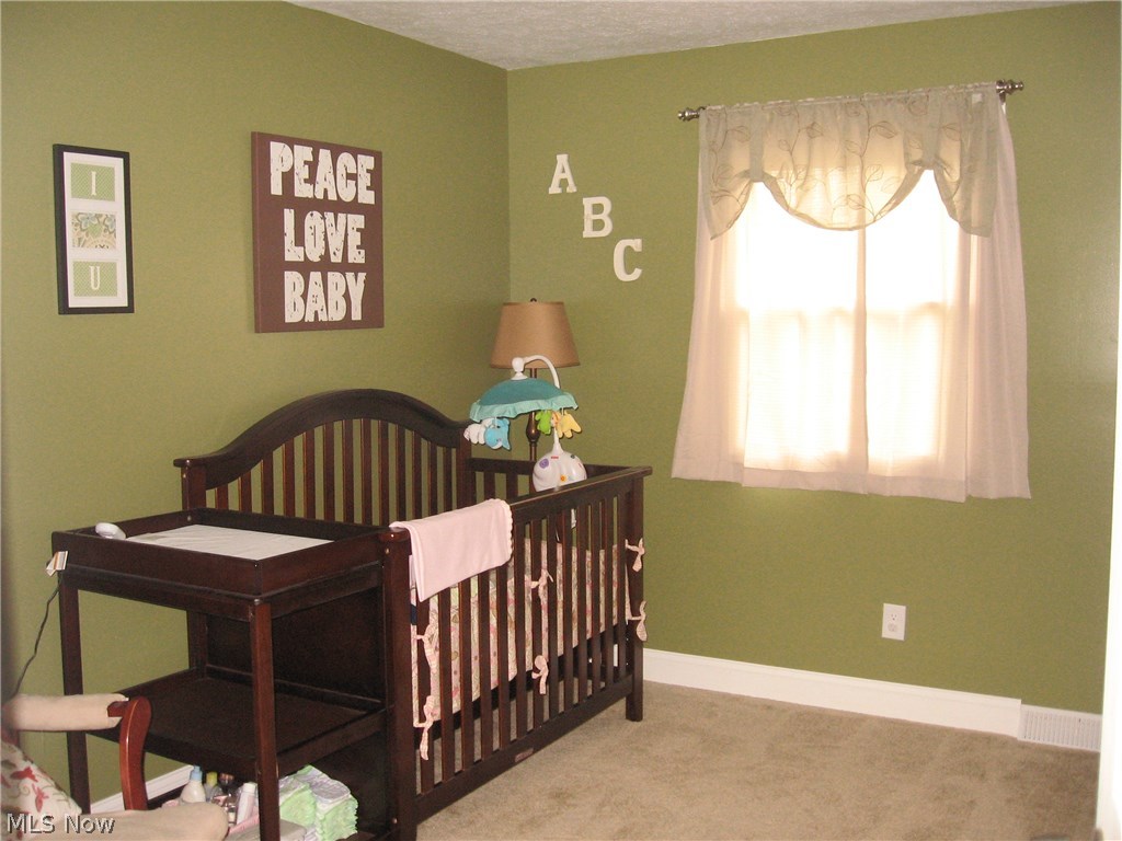 4214 Manchester Road Perry, OH 44081 - Photo 15 of 22