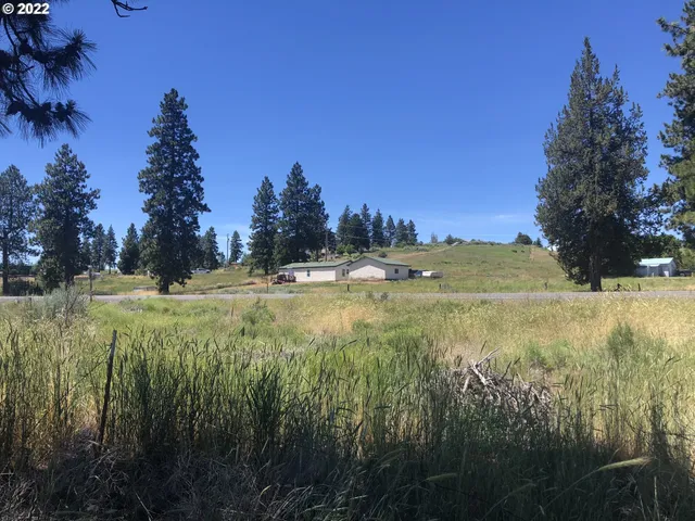 a view of outdoor space with mountain view