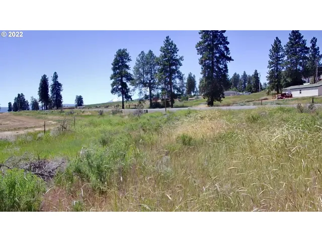 a open area with trees in the background