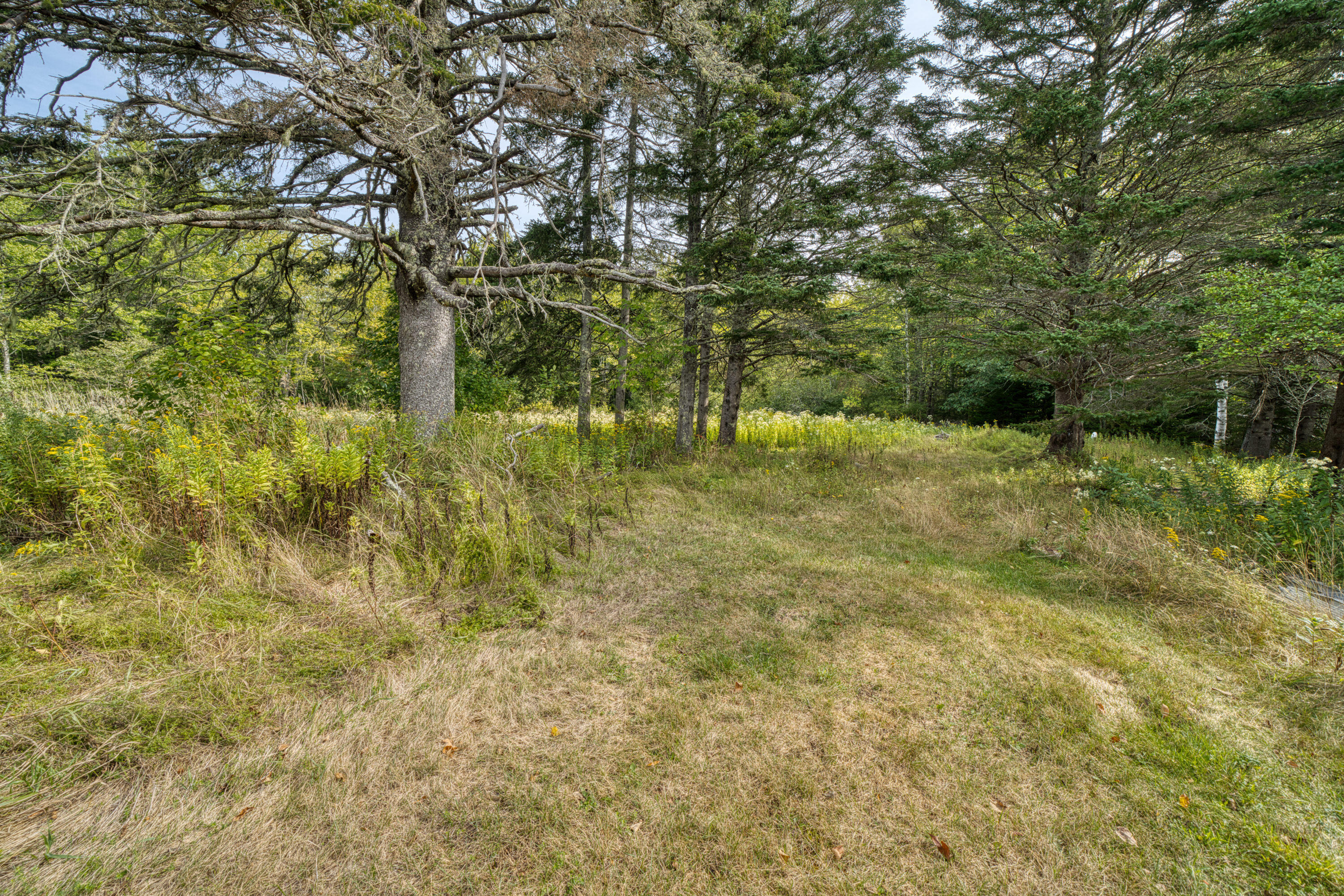 1002 Bayside Road Trenton, ME 04605 - Photo 56 of 64 8832