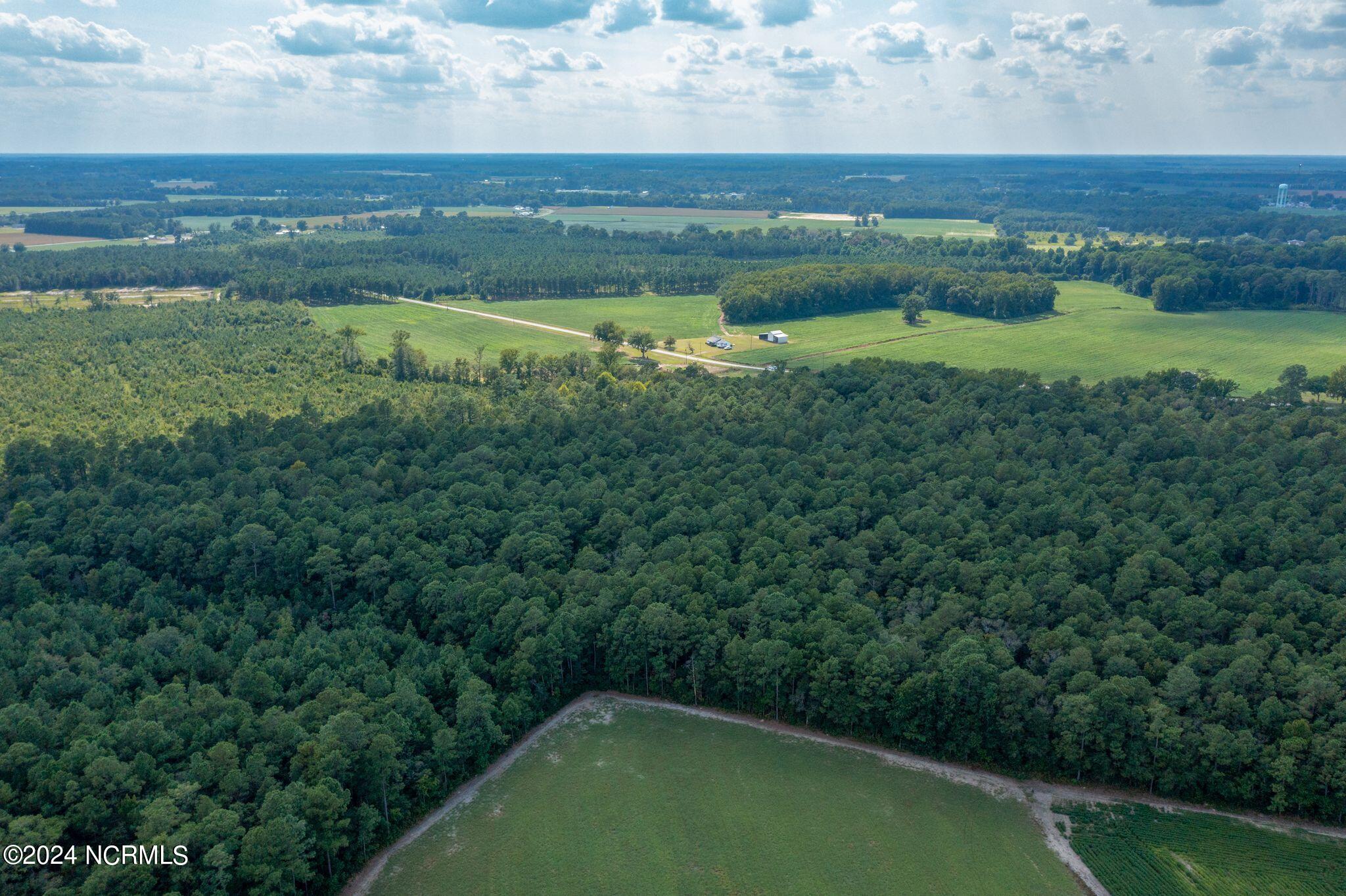 2707 Nathan Hill Road Deep Run, NC 28525 - Photo 13 of 18 2707 Nathan Hill Rd-13