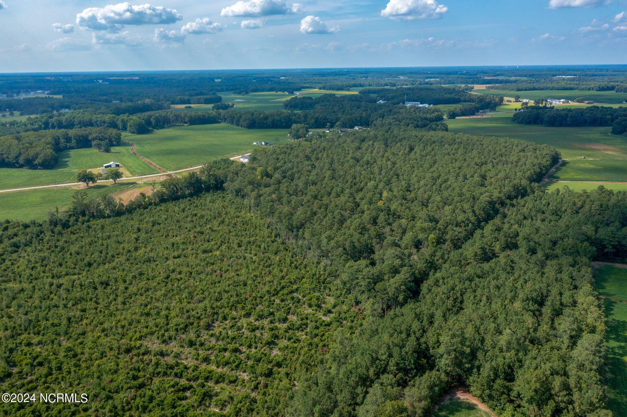 2707 Nathan Hill Road Deep Run, NC 28525 - Photo 14 of 18 2707 Nathan Hill Rd-14