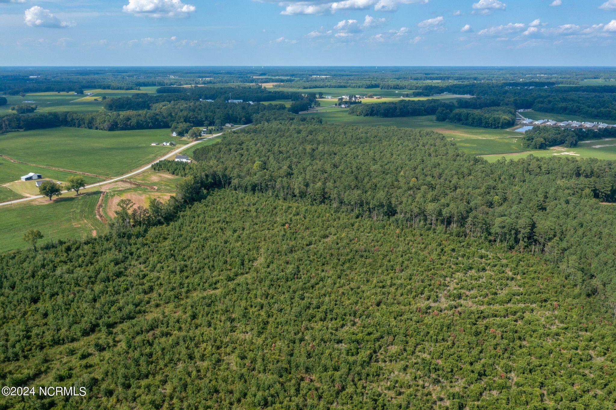 2707 Nathan Hill Road Deep Run, NC 28525 - Photo 15 of 18 2707 Nathan Hill Rd-15