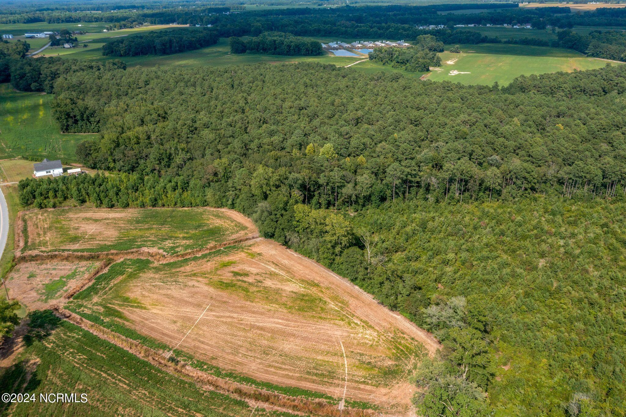 2707 Nathan Hill Road Deep Run, NC 28525 - Photo 16 of 18 2707 Nathan Hill Rd-16