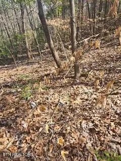 $89,000 | Little Elk Creek Road, Pioneer, TN 37847