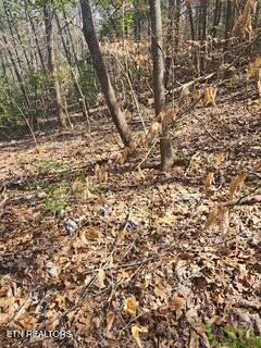 Little Elk Creek Road Pioneer, TN 37847 - Photo 11 of 23 Little Elk Creek Rd (9)