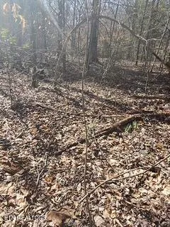 $89,000 | Little Elk Creek Road, Pioneer, TN 37847