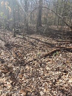 Little Elk Creek Road Pioneer, TN 37847 - Photo 12 of 23 Little Elk Creek Rd (10)