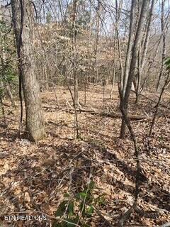 Little Elk Creek Road Pioneer, TN 37847 - Photo 13 of 23 Little Elk Creek Rd (11)
