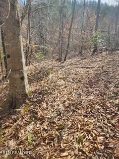 $89,000 | Little Elk Creek Road, Pioneer, TN 37847