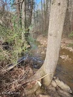 $89,000 | Little Elk Creek Road, Pioneer, TN 37847