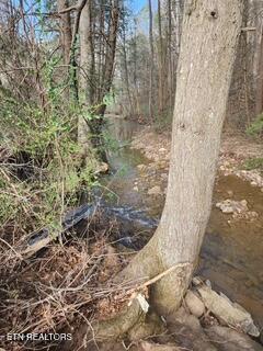 Little Elk Creek Road Pioneer, TN 37847 - Photo 17 of 23 Little Elk Creek Rd (16)