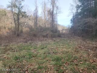 Little Elk Creek Road Pioneer, TN 37847 - Photo 18 of 23 Little Elk Creek Rd (16)