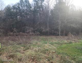 Little Elk Creek Road Pioneer, TN 37847 - Photo 22 of 23 Little Elk Creek Rd (16)