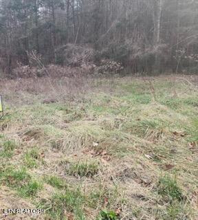 Little Elk Creek Road Pioneer, TN 37847 - Photo 23 of 23 Little Elk Creek Rd (16)