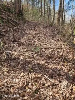 $89,000 | Little Elk Creek Road, Pioneer, TN 37847