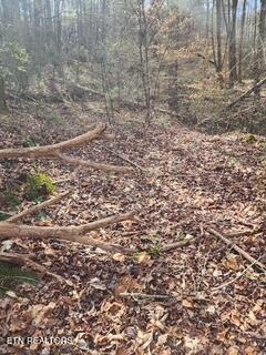 Little Elk Creek Road Pioneer, TN 37847 - Photo 5 of 23 Little Elk Creek Rd (3)