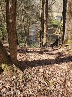 $89,000 | Little Elk Creek Road, Pioneer, TN 37847