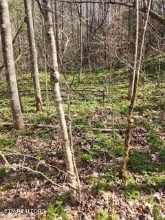 $89,000 | Little Elk Creek Road, Pioneer, TN 37847