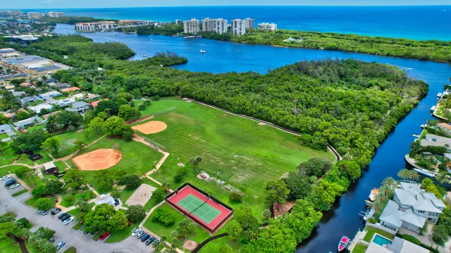 a park with lots of palm trees and plants