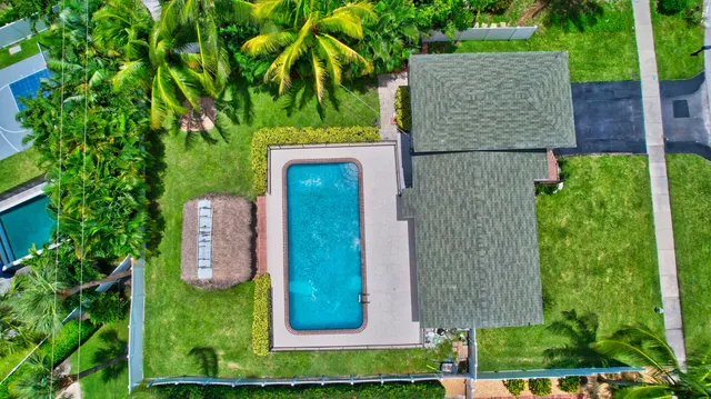 a bird view of tall trees