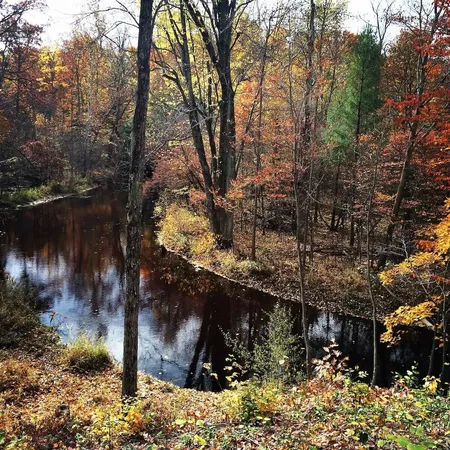 $545,000 | 105th Avenue, Pullman, MI 49450