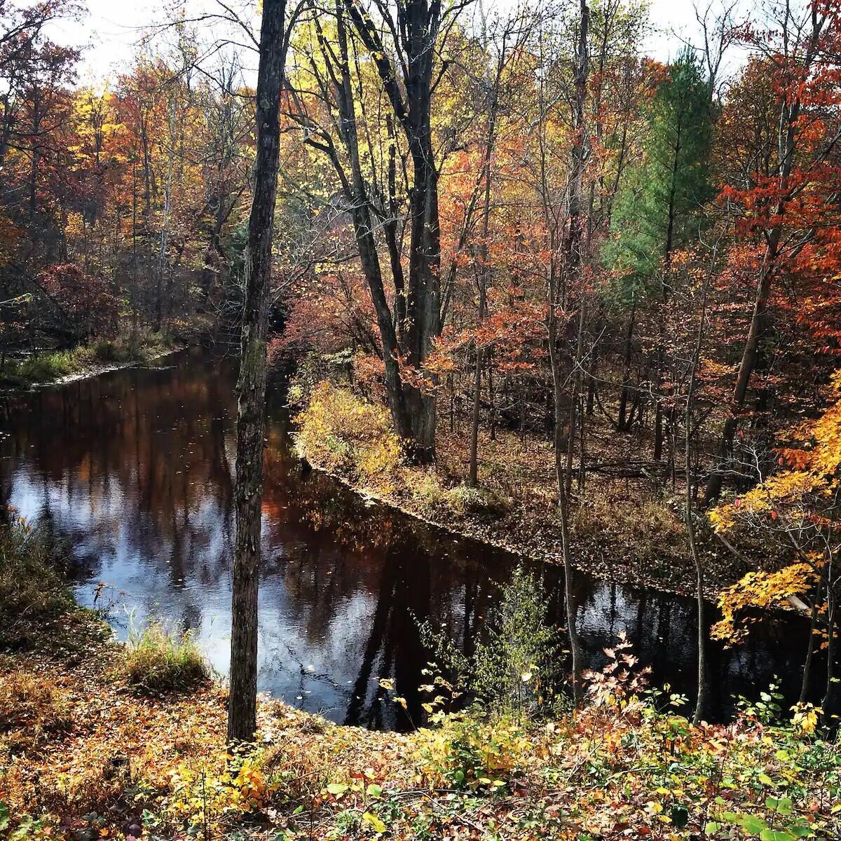 105th Avenue Pullman, MI 49450 - Photo 1 of 39 River Photo For Printing Fall