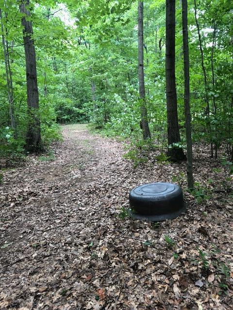 105th Avenue Pullman, MI 49450 - Photo 11 of 39 IMG_2311