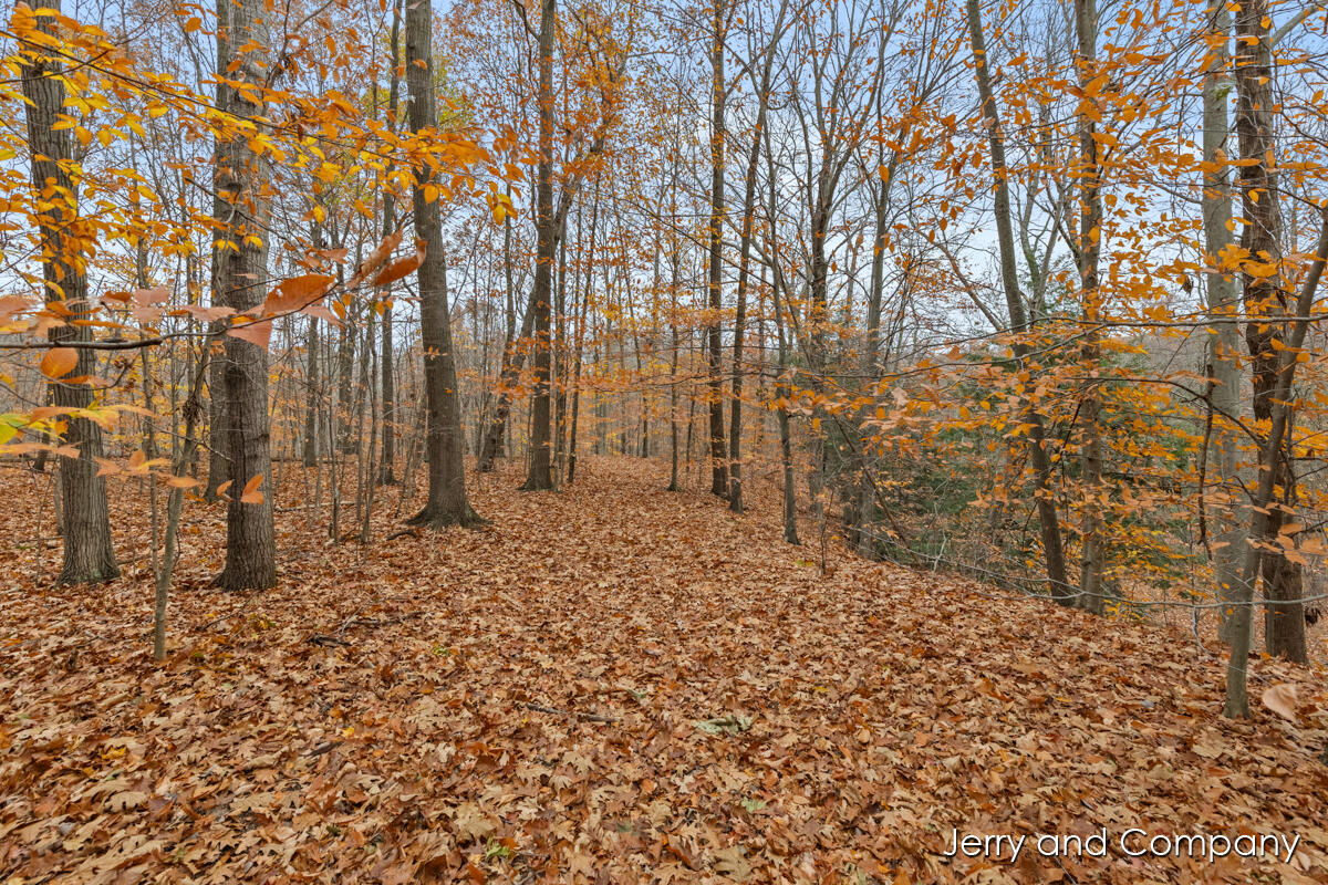 105th Avenue Pullman, MI 49450 - Photo 15 of 39 IMG_1004