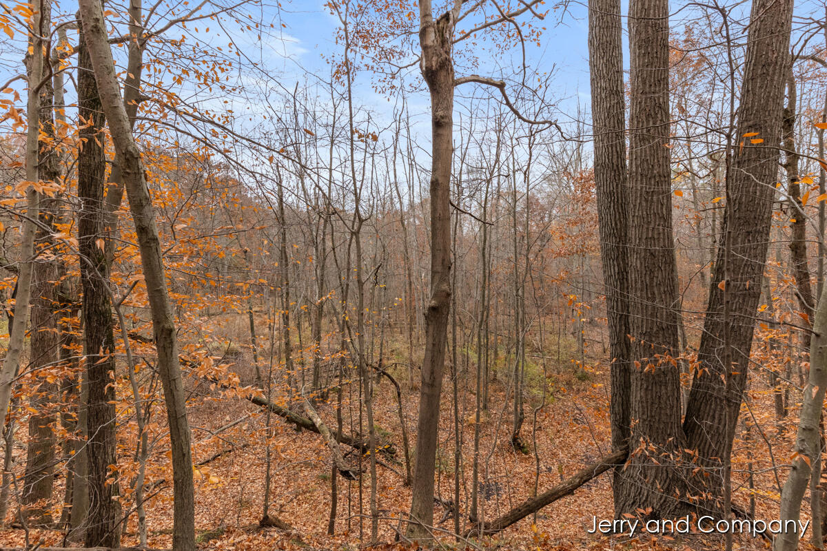 105th Avenue Pullman, MI 49450 - Photo 19 of 39 IMG_1008