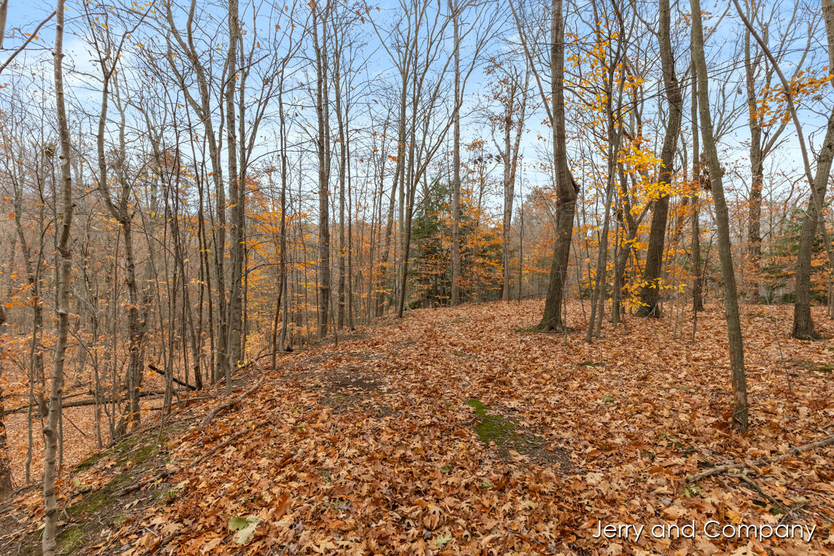 105th Avenue Pullman, MI 49450 - Photo 20 of 39 IMG_1009