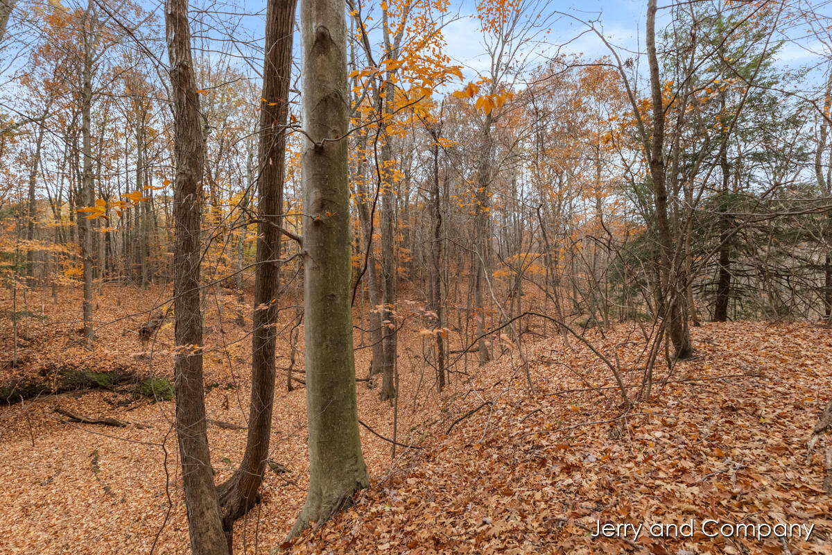 105th Avenue Pullman, MI 49450 - Photo 22 of 39 IMG_1011