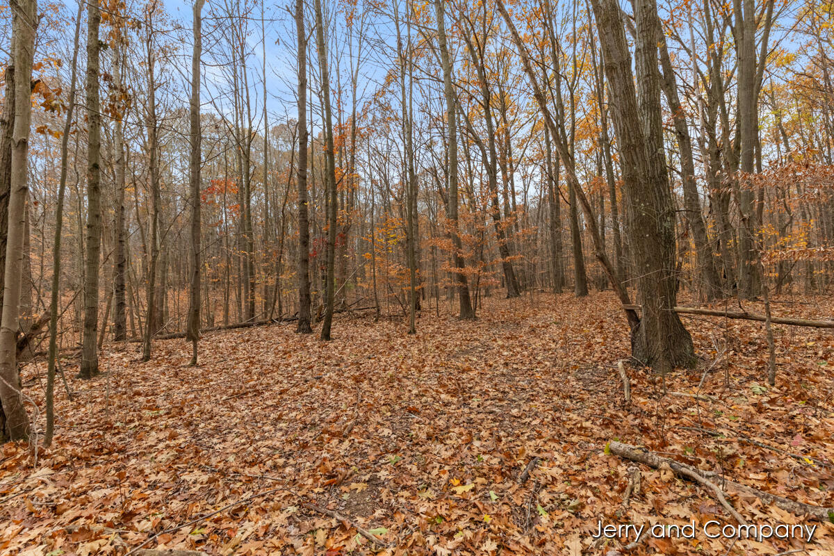 105th Avenue Pullman, MI 49450 - Photo 23 of 39 IMG_1012