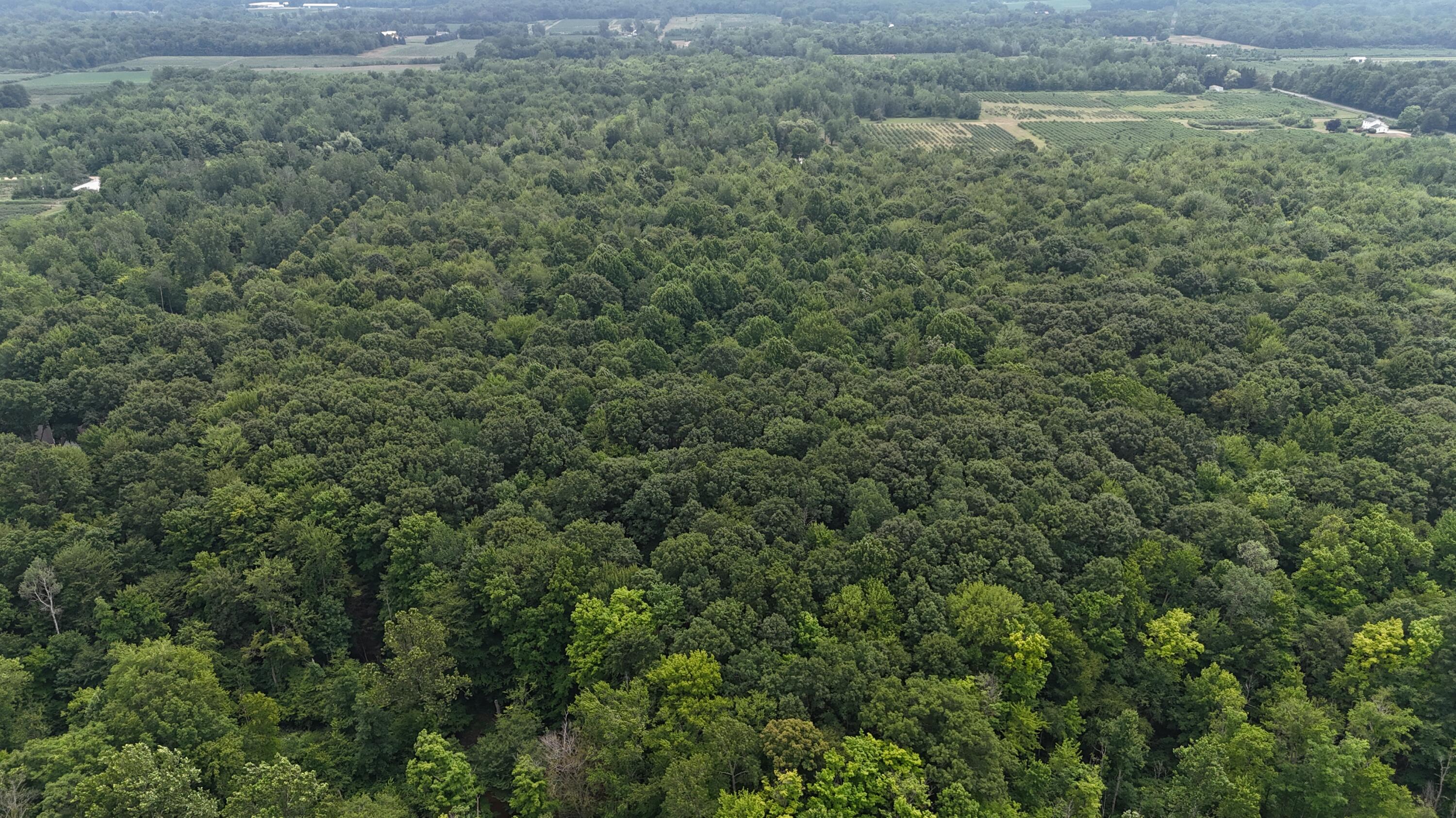 105th Avenue Pullman, MI 49450 - Photo 3 of 39 DJI_20250708144753_0021_D