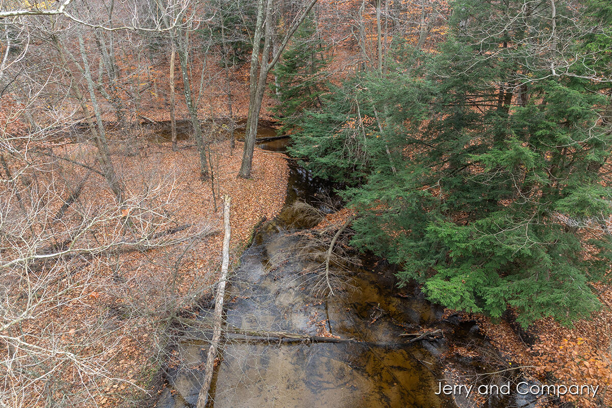 105th Avenue Pullman, MI 49450 - Photo 36 of 39 IMG_1026