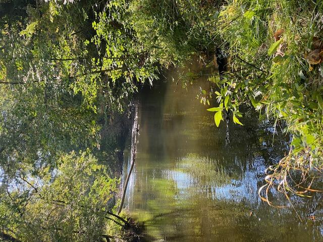 105th Avenue Pullman, MI 49450 - Photo 39 of 39 IMG_5741