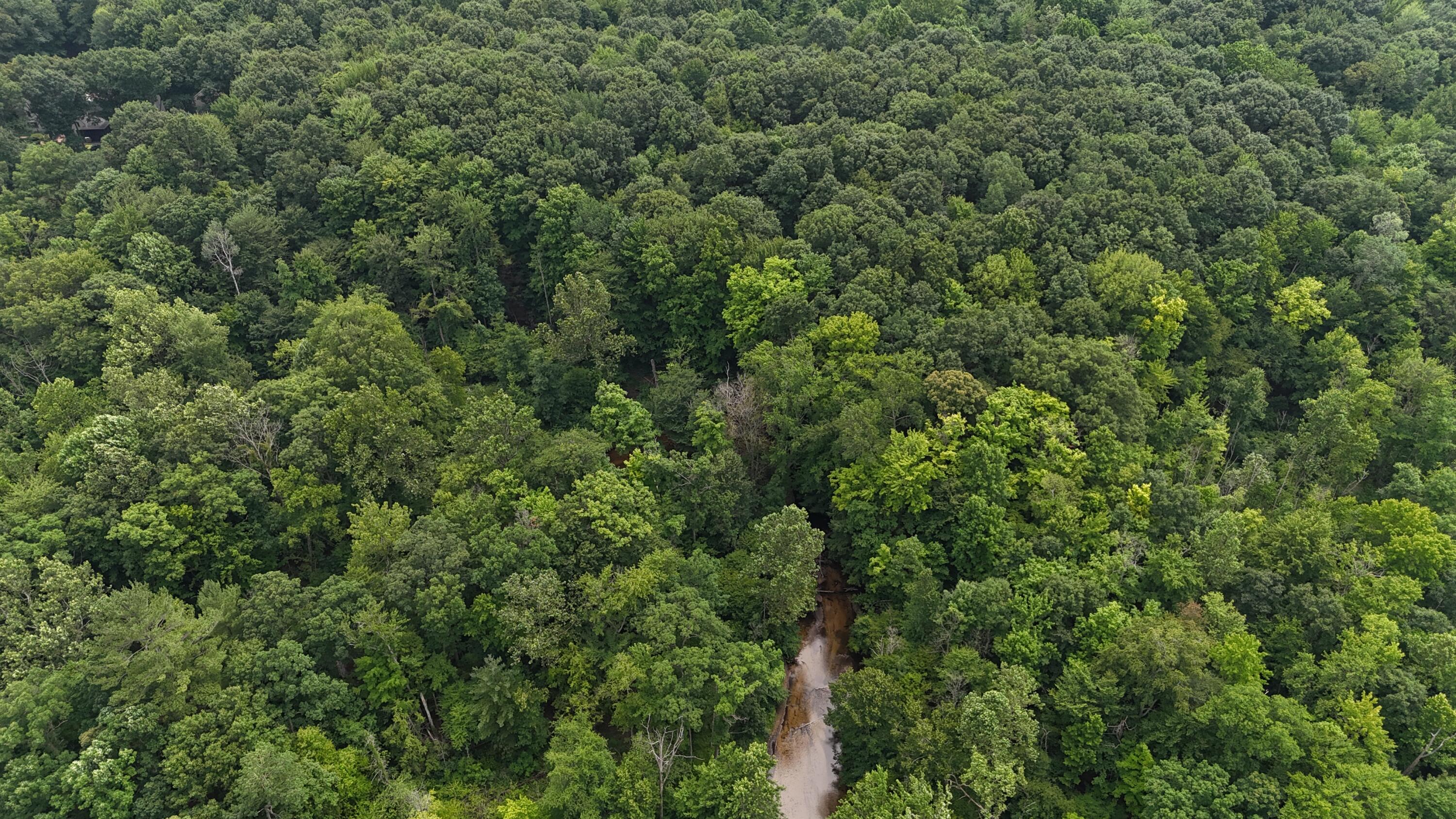 105th Avenue Pullman, MI 49450 - Photo 4 of 39 DJI_20250708144739_0020_D