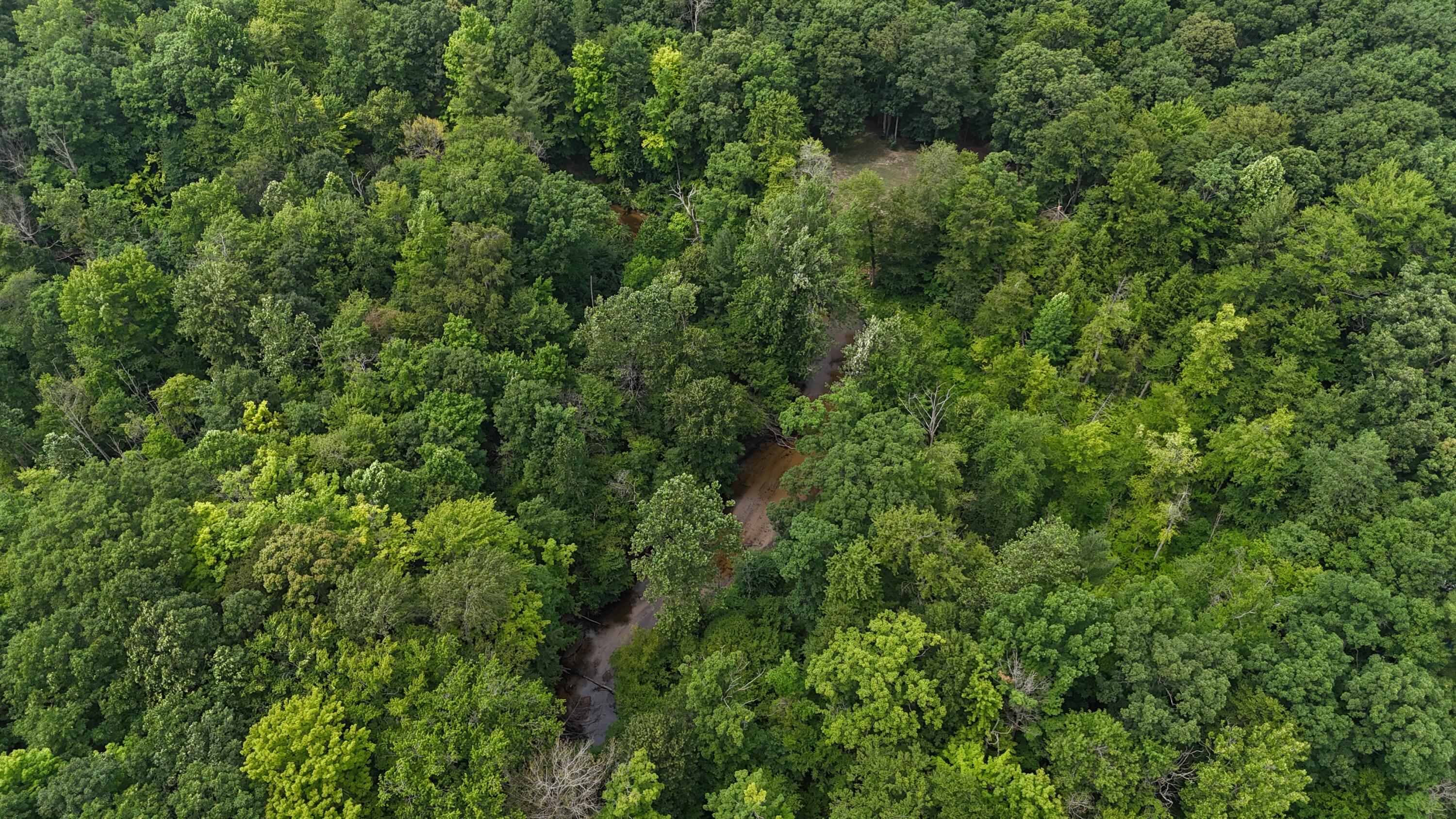 105th Avenue Pullman, MI 49450 - Photo 5 of 39 DJI_20250708144638_0017_D