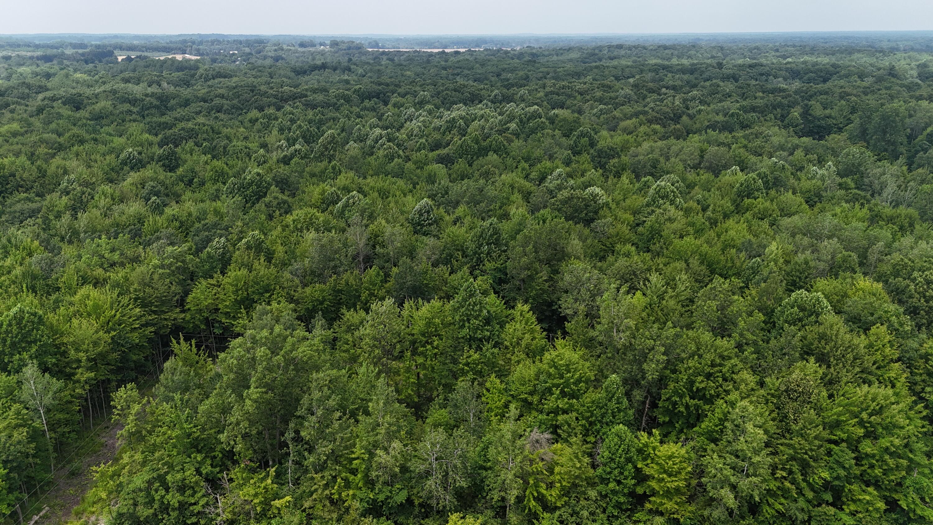 105th Avenue Pullman, MI 49450 - Photo 6 of 39 DJI_20250708144524_0016_D