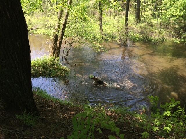 105th Avenue Pullman, MI 49450 - Photo 7 of 39 IMG_0315