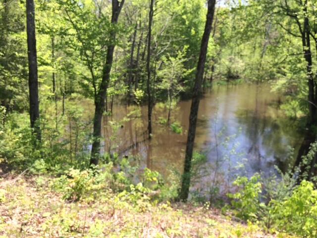 105th Avenue Pullman, MI 49450 - Photo 9 of 39 IMG_0320