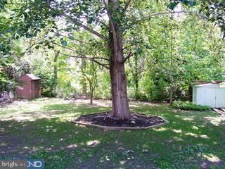 186 Franklyn Road Ewing, NJ 08628 - Photo 6 of 6 Gallery Image 6