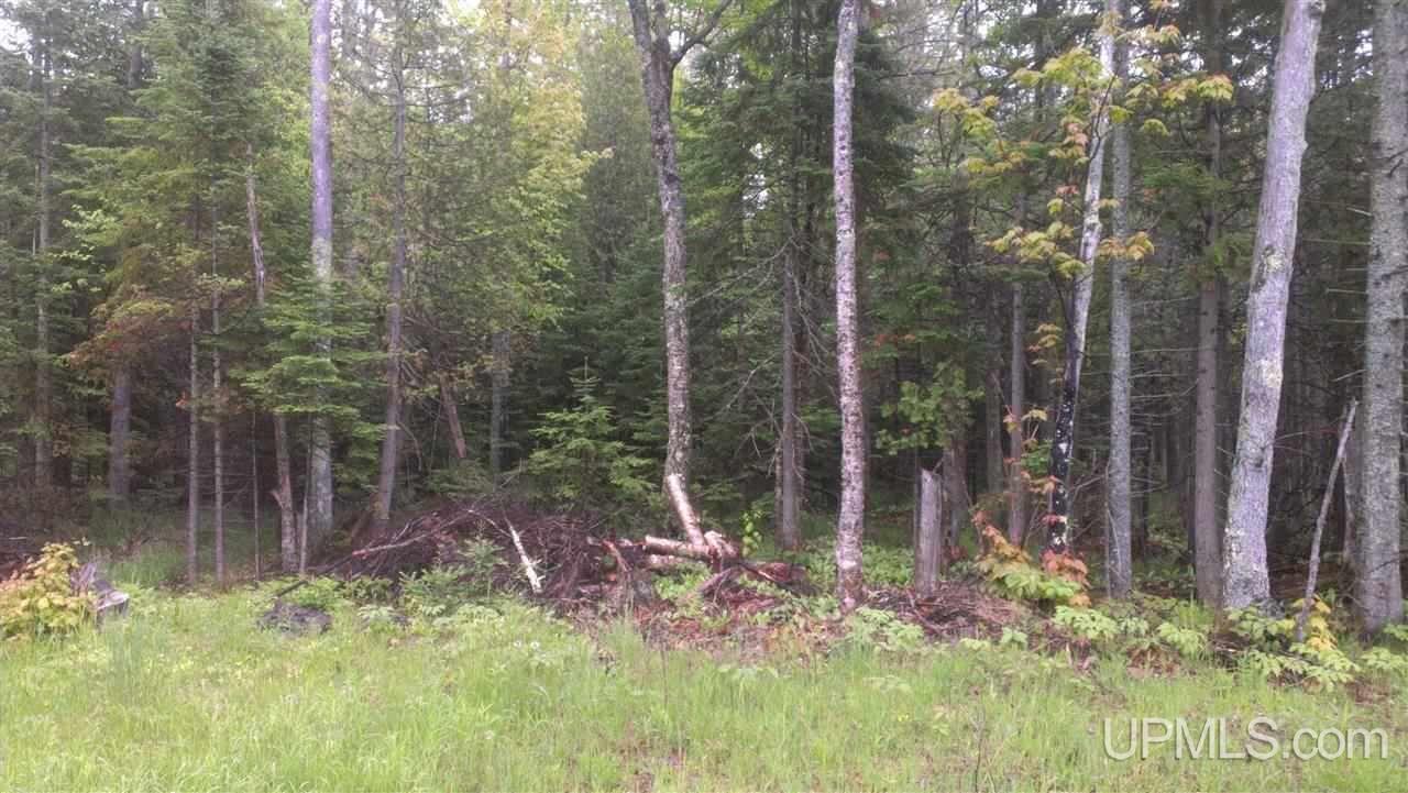 Tbd Us41 & South Entry Road Chassell, MI 49916 - Photo 1 of 3