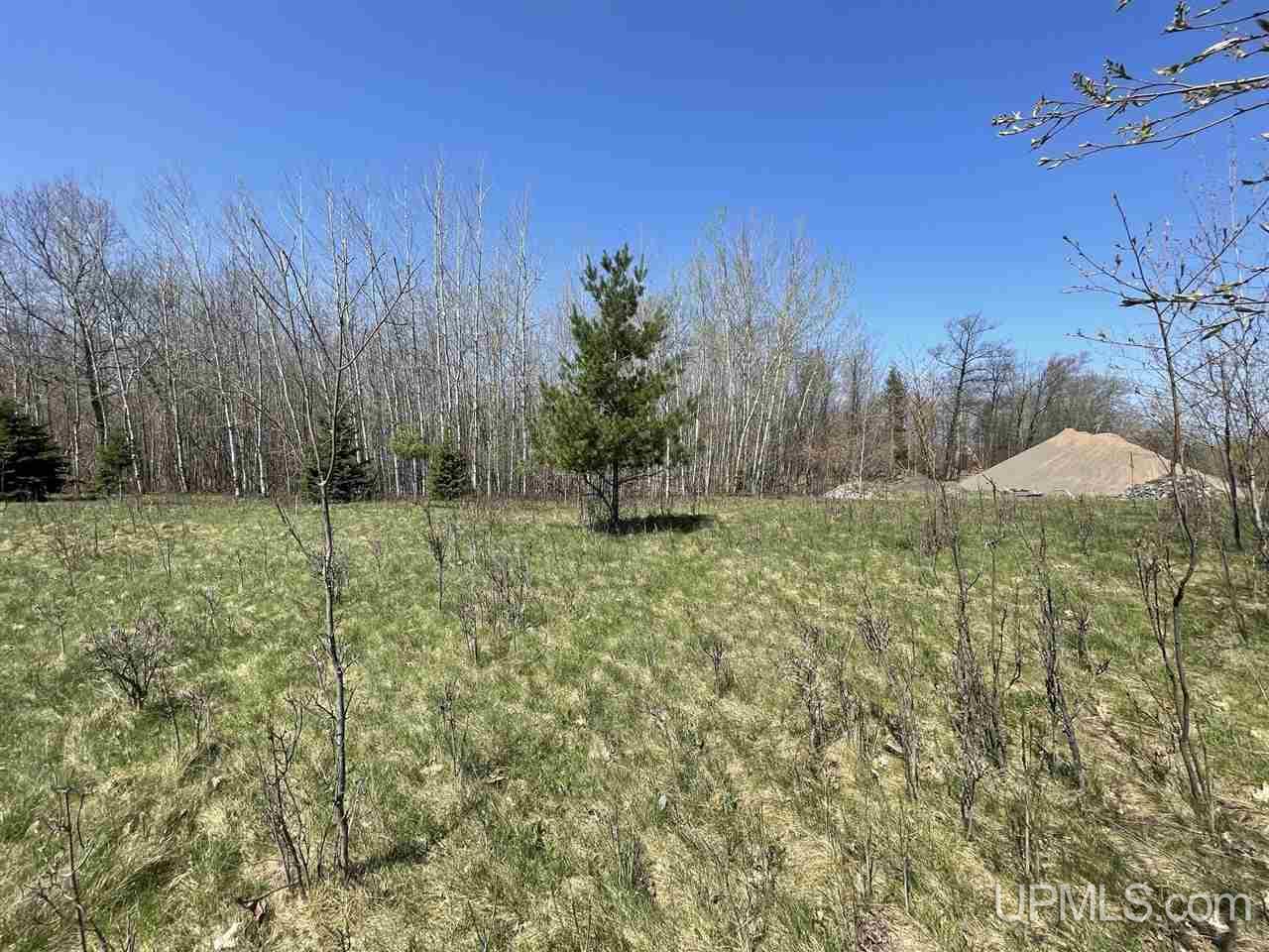 Tbd Paulson Road Skanee, MI 49962 - Photo 13 of 19 Gallery Image 13