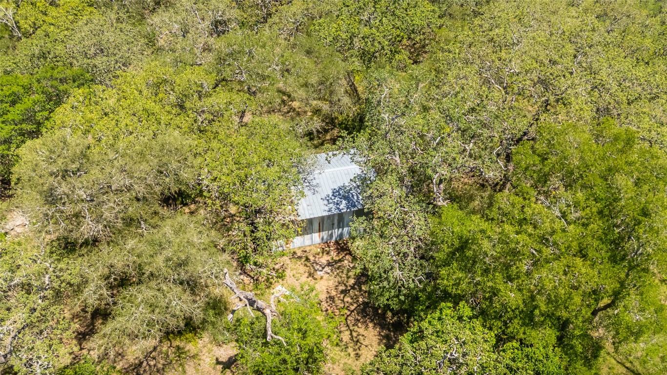 7502 Wells Trace Manor, TX 78653 - Photo 29 of 31 a view of a yard with a tree